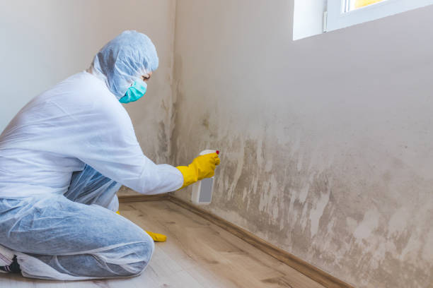 Hvac And Air Duct Mold Remediation inspection of HVAC system in Collegeville
